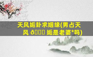 天风姤卦求姻缘(男占天风 🐕 姤是老婆*
吗)